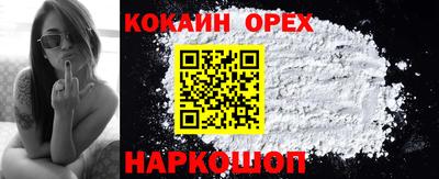 сатива Кандалакша