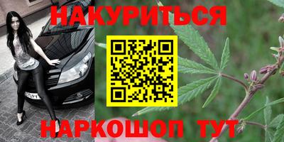 шишки Канаш