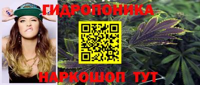 сатива Кандалакша