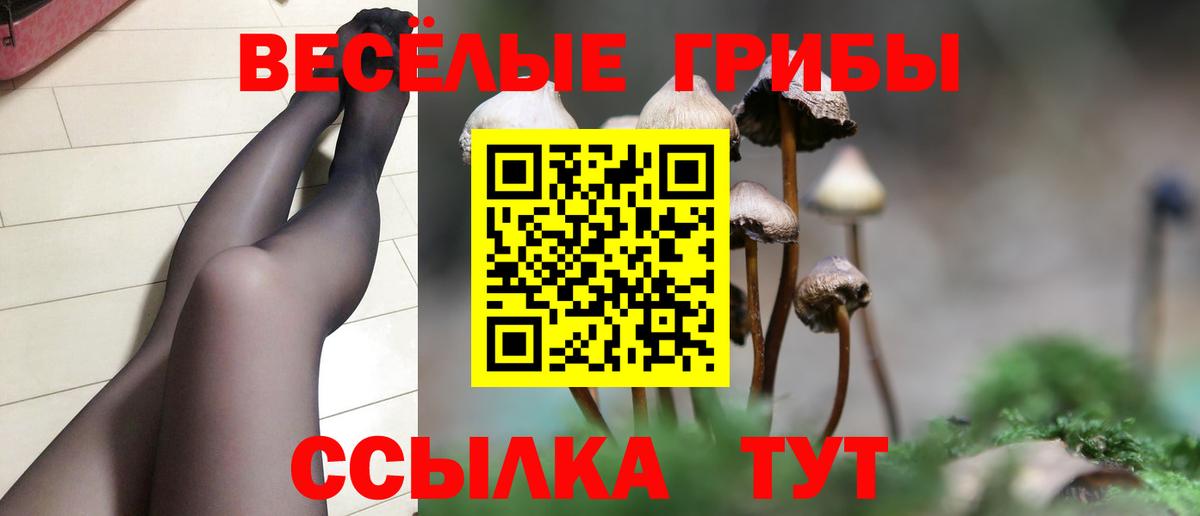 где продают наркотики  Вход с VPN  Урай  Галлюциногенные грибы мицелий 